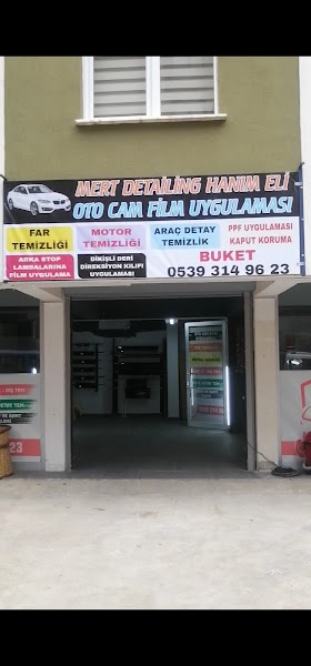 Mert detailing