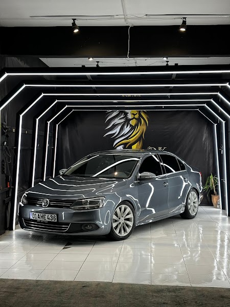 DK DETAILING ADANA